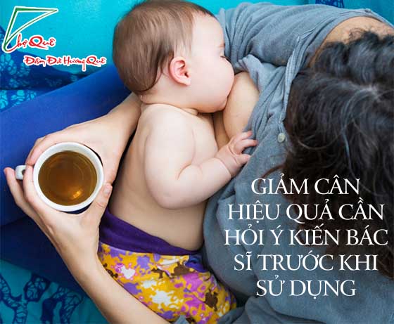 Cao chè vằng nguyên chất giảm cân tốt cho bà bầu